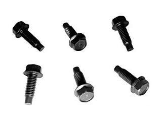 (image for) 64-65 DOOR HINGE MOUNTING BOLT KIT - Click Image to Close