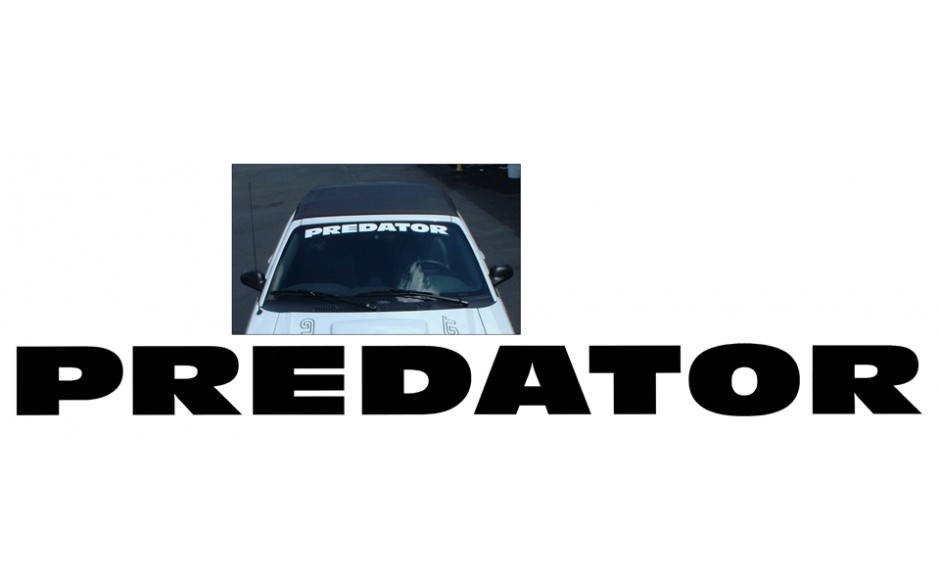 (image for) 83-86 PREDATOR COBRA WINDSHIELD DECAL - WHITE REFLECTIVE - Click Image to Close